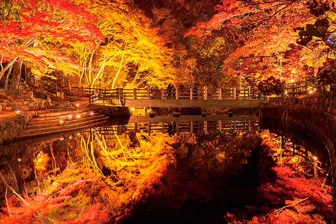 18 11月が見頃 紅葉絶景に出会える東海の名所おすすめ18選 じゃらんニュース