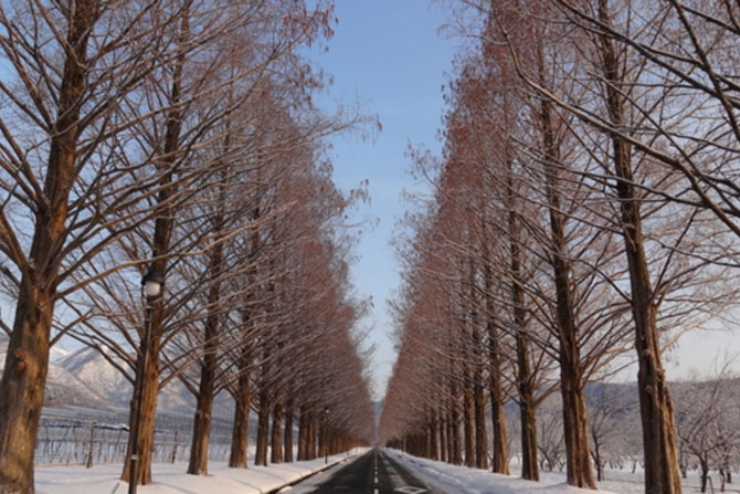 関西 冬絶景18選 この冬に行くべきおすすめスポットを厳選 じゃらんニュース