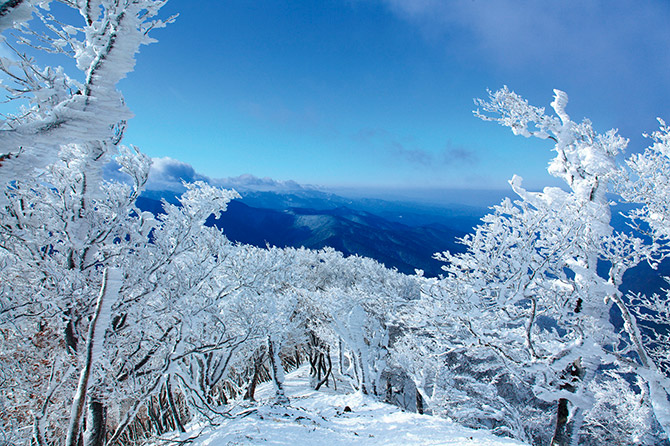 高見山