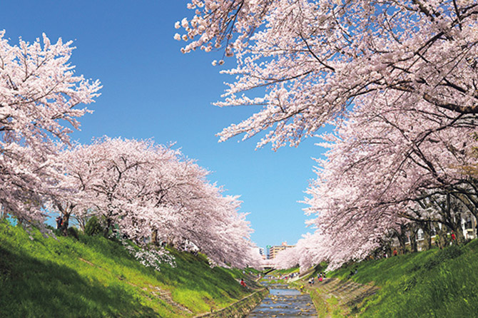 週間ランキングtop10 お花見スポットやイベント情報がランクイン 19 3 4 10 じゃらんニュース