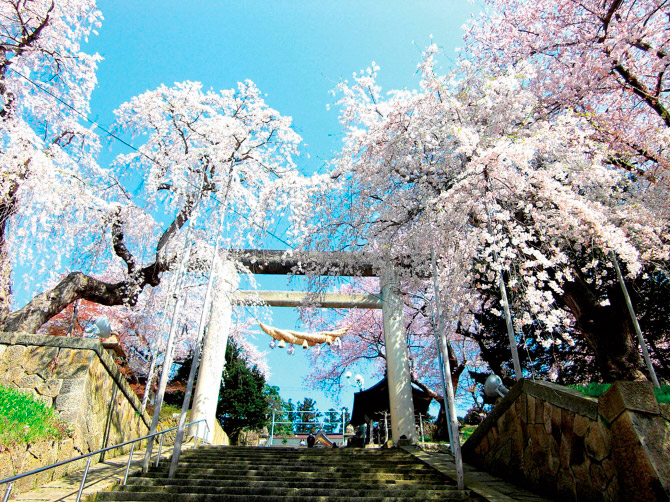 烏帽子山公園