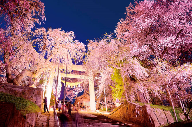烏帽子山公園