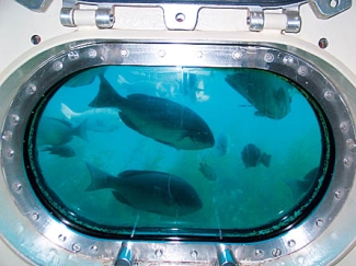 かつうら海中公園 海中展望塔