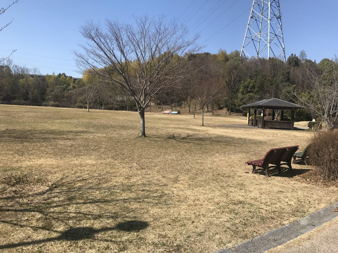 （画像提供：和泉市）
