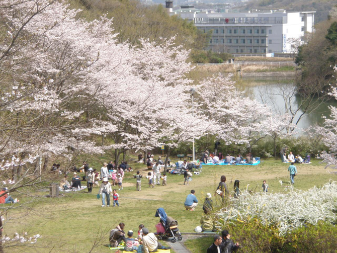 （画像提供：錦織公園）