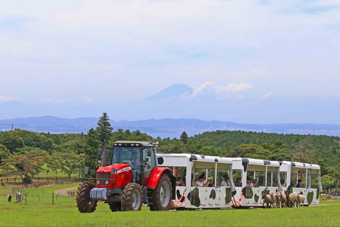 マザー牧場
