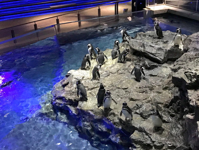 すみだ水族館