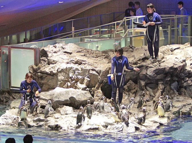 すみだ水族館