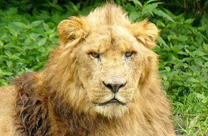 東武動物公園
