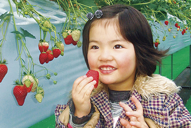 お菓子の城 那須ハートランド