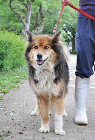 千本松牧場 どうぶつふれあい広場