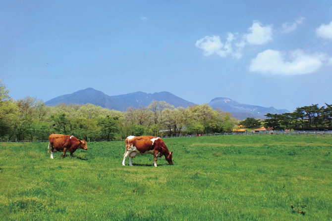 那須高原 南ヶ丘牧場