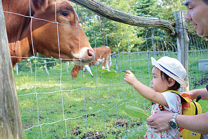 那須高原 南ヶ丘牧場