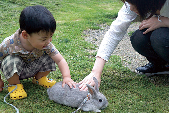 那須高原 南ヶ丘牧場
