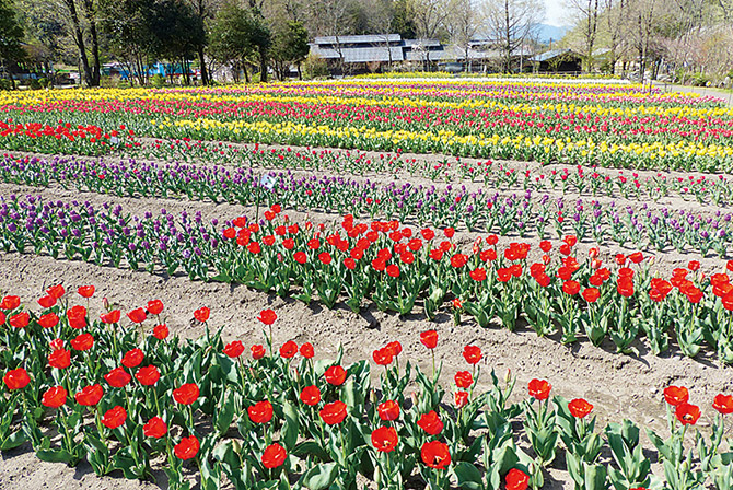 ぎふ清流里山公園