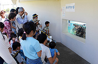 浜名湖体験学習施設ウォット