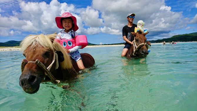 久米島馬牧場