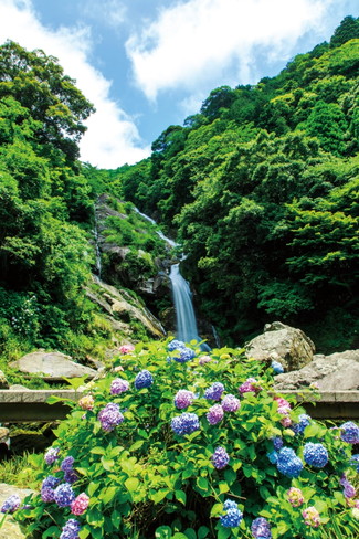 19 九州 あじさい 名所8選 見頃 おすすめイベント情報も じゃらんニュース