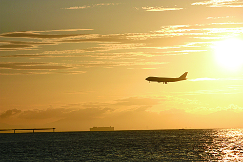 セントレアを離発着する飛行機