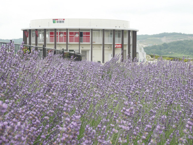 愛・地球博記念公園（モリコロパーク）
