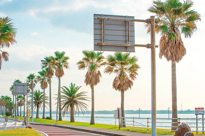 袖ヶ浦海浜公園