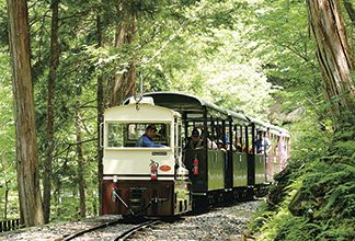 赤沢自然休養林（赤沢森林鉄道）