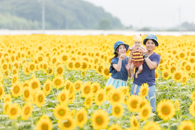 フォトジェニックな ひまわり畑 14選 思い出に残る写真が撮れる 全国 じゃらんニュース フォトジェニックな ひまわり畑 14選 思い出に残る写真が撮れる 全国 じゃらんニュース
