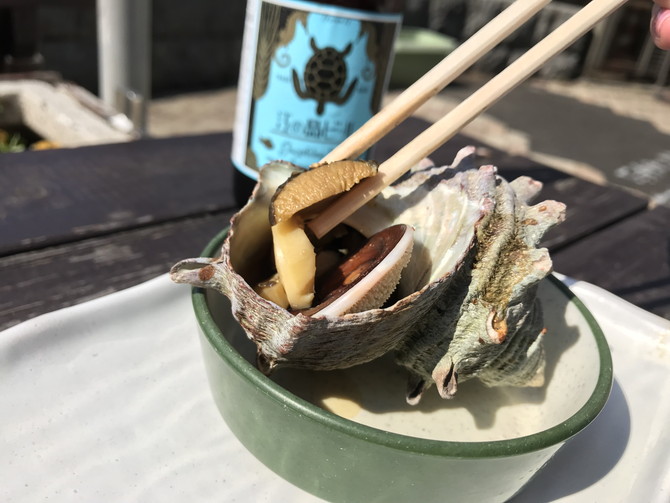 江の島　貝作