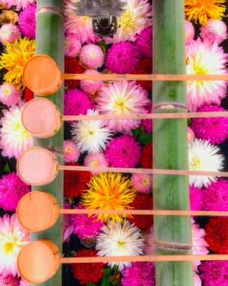 京都はインスタ映えの宝庫 Snsで話題のフォトジェニックスポット12選 じゃらんニュース