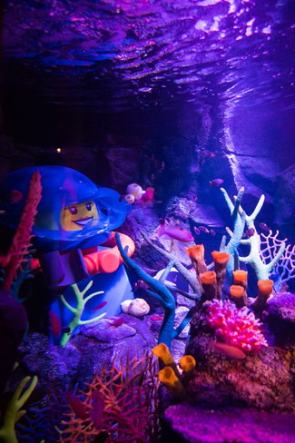 SEA LIFE Nagoya