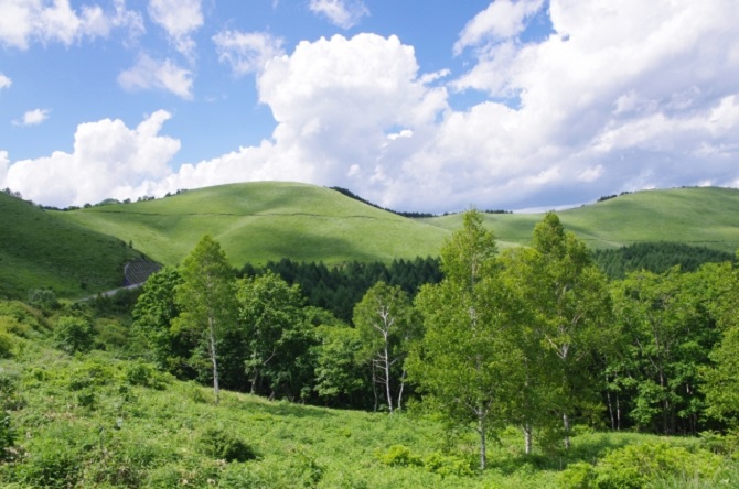 永遠のテーマ 海派 Vs 山派 が決着 19夏あなたはどっちで過ごす じゃらんニュース