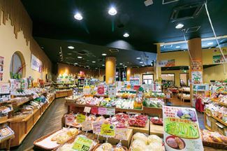 八女市健康増進施設 べんがら村
