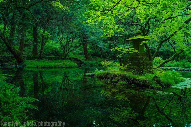 フォトジェニックな「みどりの絶景」15選！非日常な世界に癒さ