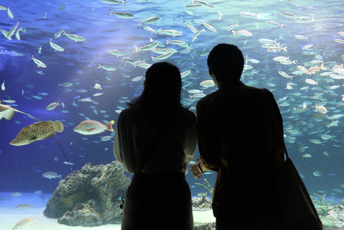 3回目のデートは池袋が正解 寝ずに考えた 必勝告白プラン を実践してみた 2 じゃらんnet