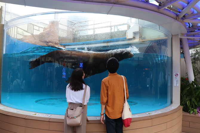 3回目のデートは池袋が正解 寝ずに考えた 必勝告白プラン を実践してみた 2 じゃらんnet