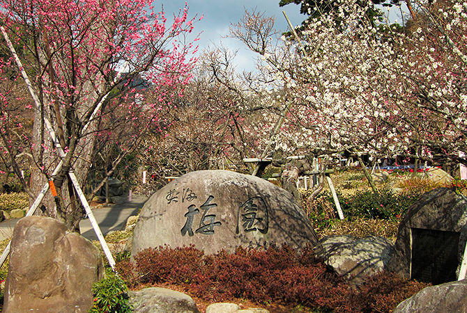 熱海梅園