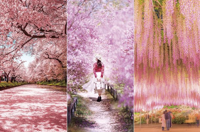 フォトジェニックな ピンクの絶景 10選 幸せになれそうなスポットを集めました 全国 じゃらんニュース