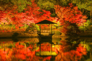 （画像提供：三景園管理事務所）