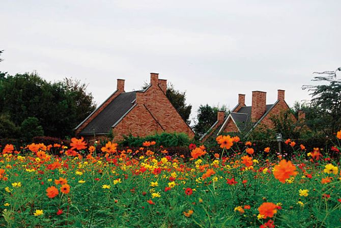 関東近郊 花絶景を見に行こう 秋の日帰りドライブコースおすすめ8選 19 3 じゃらんnet 関東近郊 花絶景を見に行こう 秋の日帰りドライブコースおすすめ8選 19 3 じゃらんnet