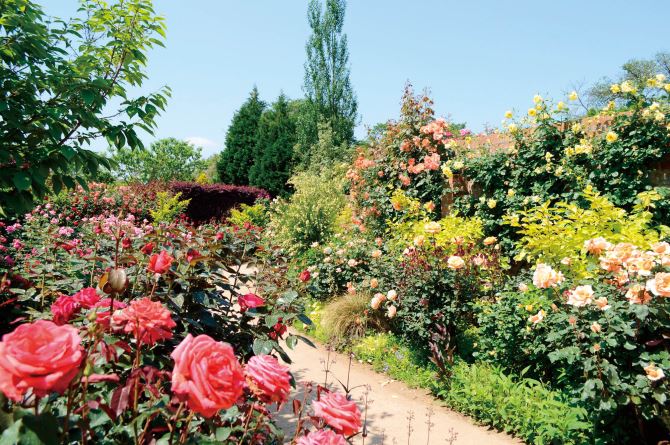 関東近郊 花絶景を見に行こう 秋の日帰りドライブコースおすすめ8選 19 3 じゃらんnet 関東近郊 花絶景を見に行こう 秋の日帰りドライブコースおすすめ8選 19 3 じゃらんnet