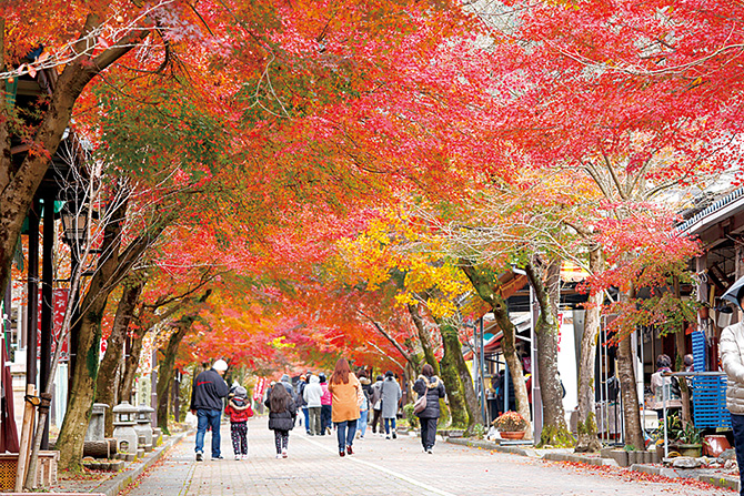 谷汲山華厳寺
