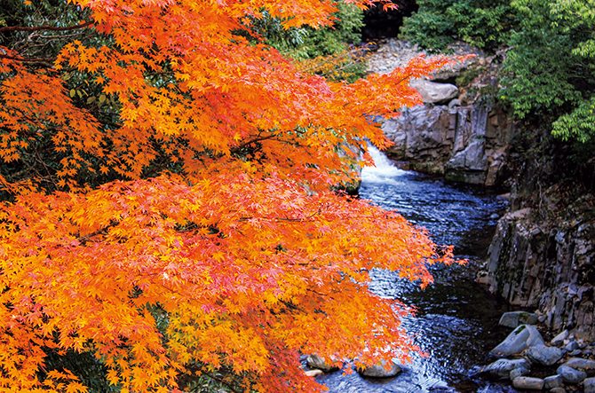 中国 四国 11月見頃の 絶景紅葉スポット おすすめ17選 名所や穴場も 19 じゃらんニュース