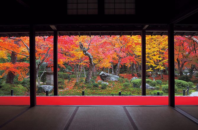 京都の紅葉は予約するのが正解 絶景紅葉スポットおすすめ4選 19 見頃情報 じゃらんニュース