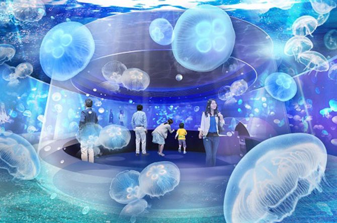 京都水族館がリニューアル 西日本最多の クラゲ展示 エリアが年4月誕生 京都 じゃらんニュース 京都水族館がリニューアル 西日本最多の クラゲ展示 エリアが年4月誕生 京都 じゃらんニュース