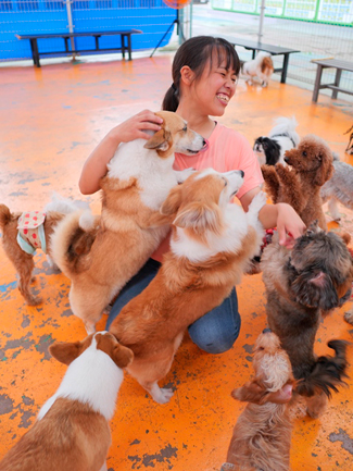 関東近郊 11月1日は犬の日 ワンちゃんと触れ合えるおすすめスポット5選 じゃらんニュース