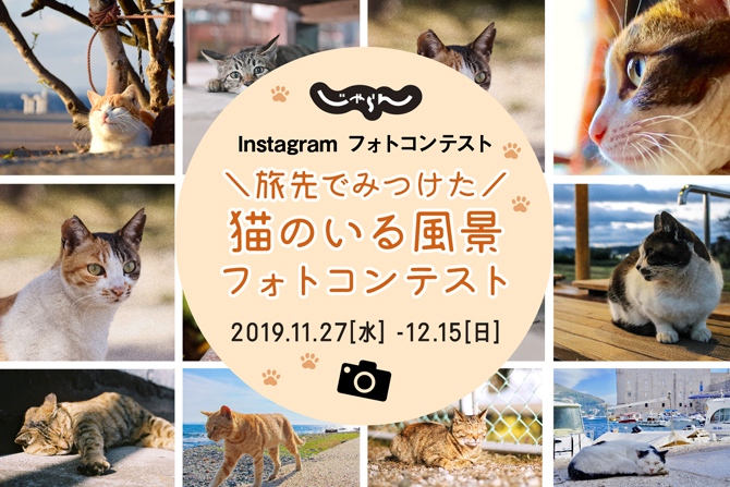 じゃらんインスタグラム 旅先でみつけた 猫のいる風景 フォトコンテスト開催 じゃらんニュース