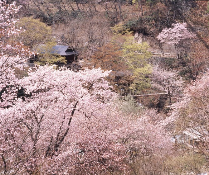 宝川温泉 宝川山荘