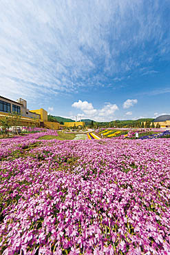 ホテル森の風鶯宿