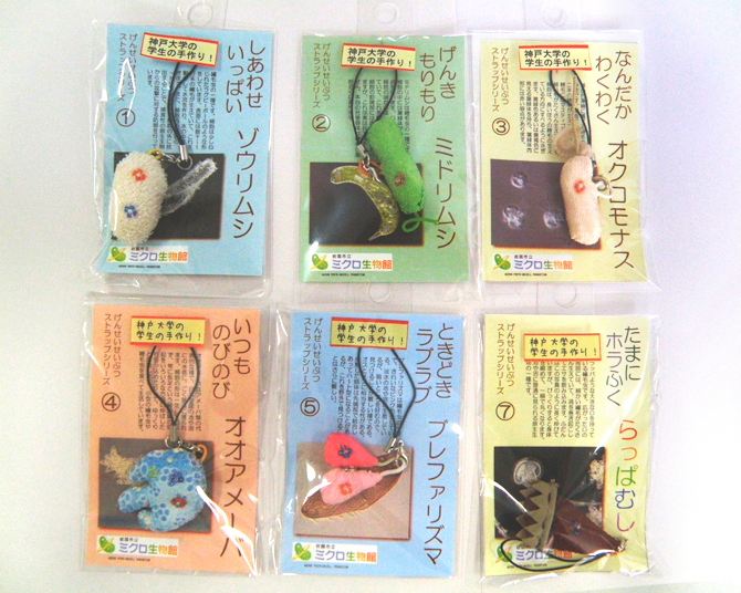 全国 水族館の人気 おすすめお土産48 ぬいぐるみからお菓子まで 2 じゃらんnet