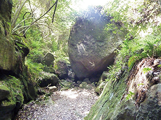 磐船神社(岩窟めぐり)